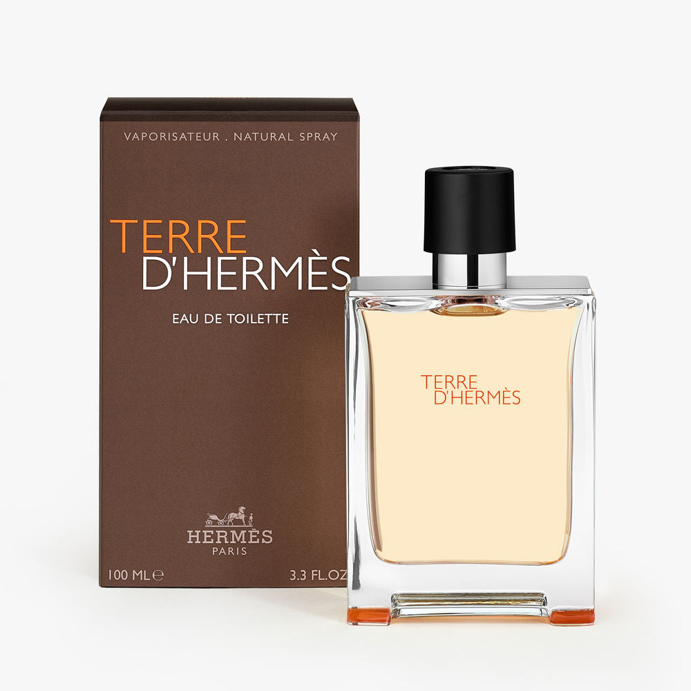 TERRE D'HERMÈS eau de toilette vaporizador 100 ml
