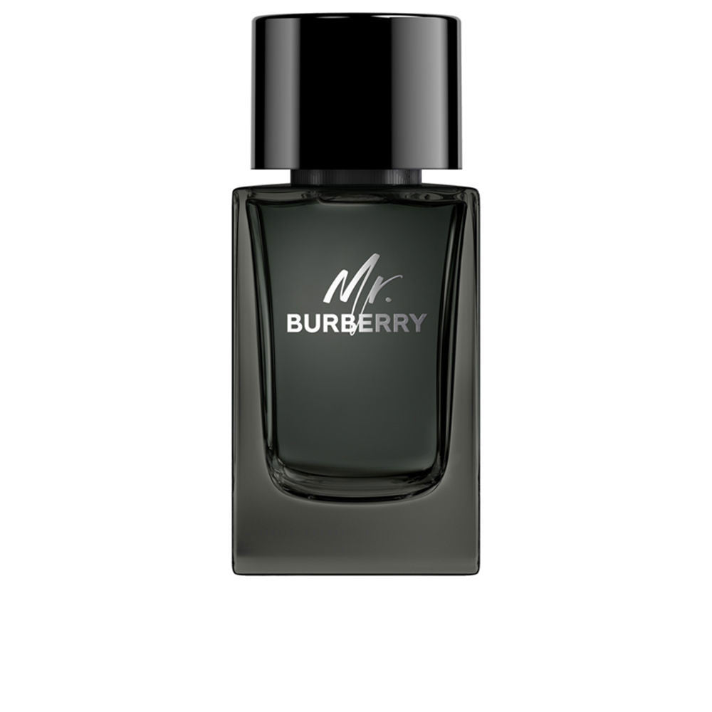 MR. BURBERRY eau de parfum vaporizador 100 ml