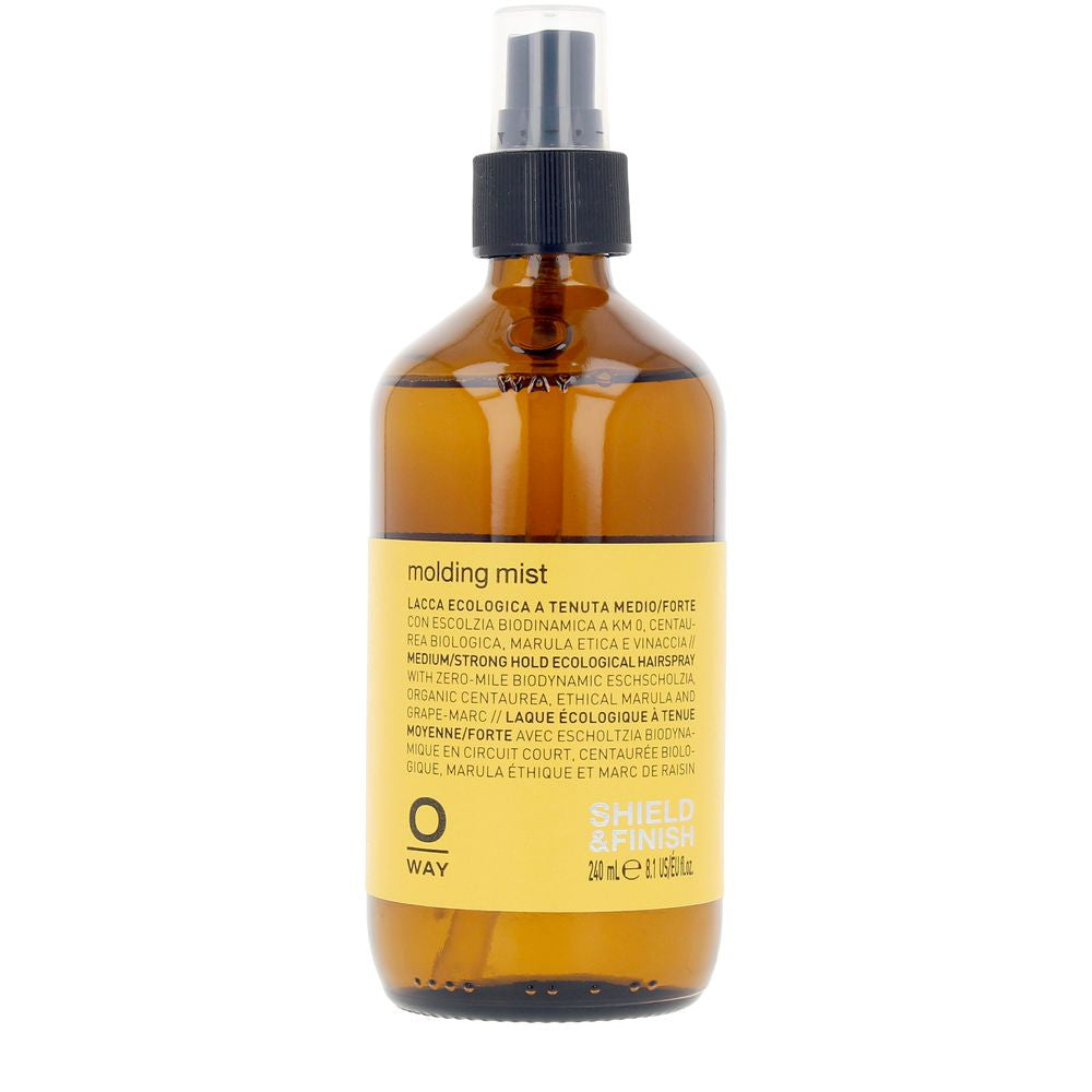 MOLDING MIST laca ecológica fijación media/fuerte 240 ml
