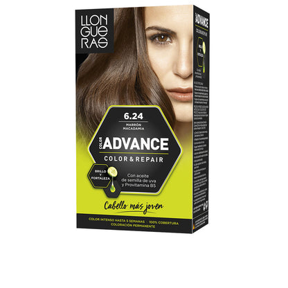 COLOR ADVANCE 624 marron macadamia 1 u