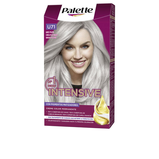 PALETTE INTENSIVE tinte U71 gris plata